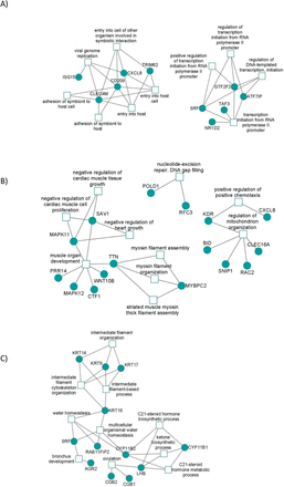 Figure 2: