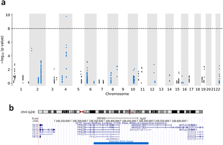 Figure 5: