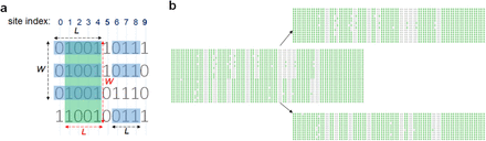 Figure 6: