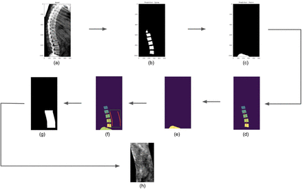 Figure S6: