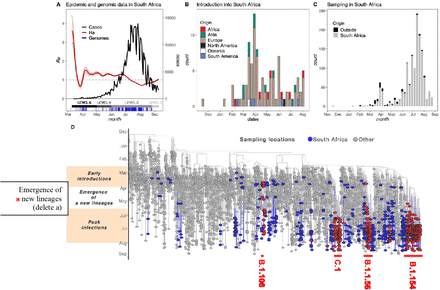 Figure 1: