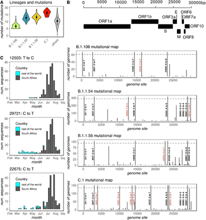 Figure 3: