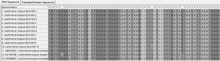 Figure 3: