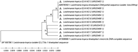 Figure 4: