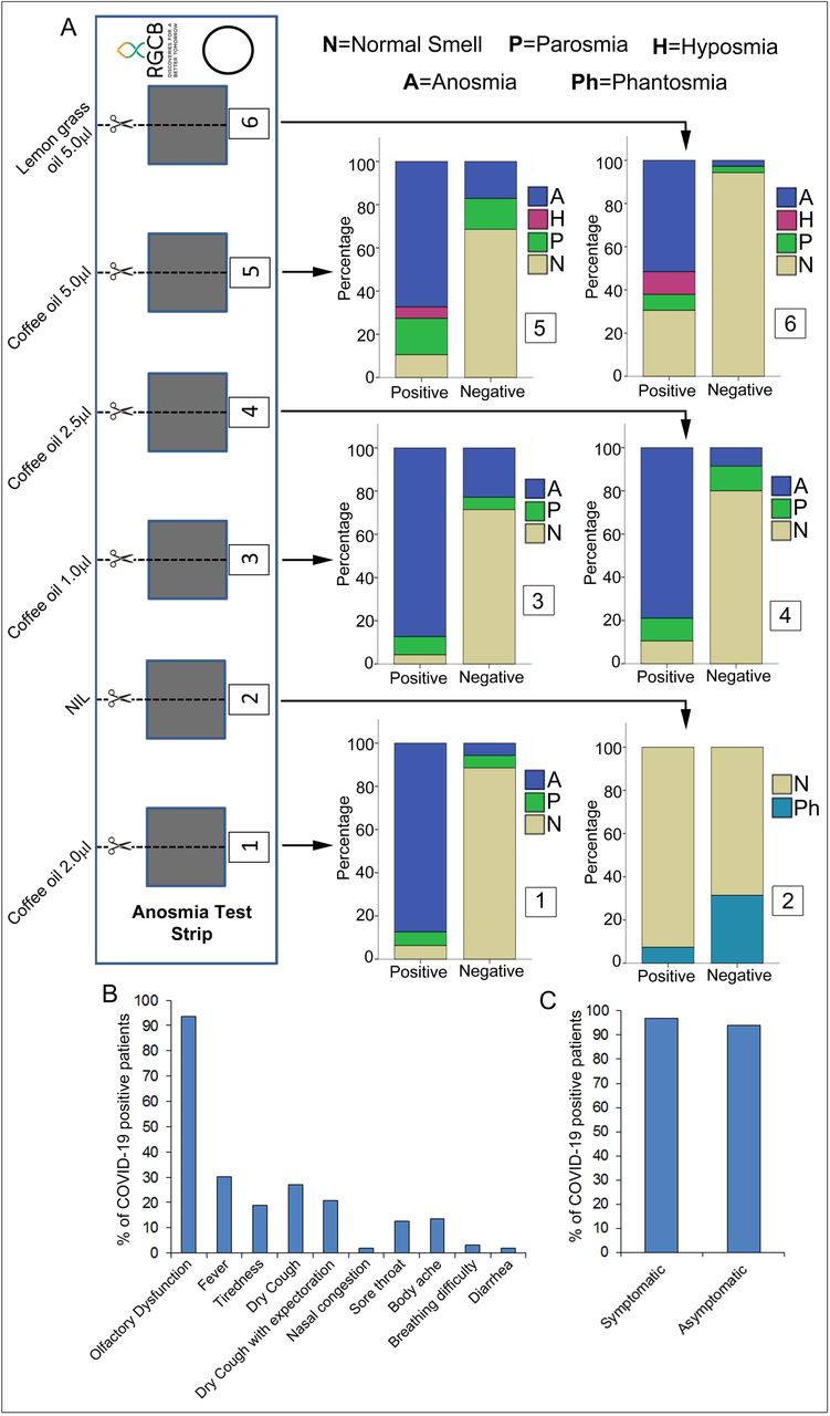 Effective Community Screening For Asymptomatic And Symptomatic Covid 19 With A Fast And Extremely Low Cost Covid Anosmia Checker Tool Medrxiv