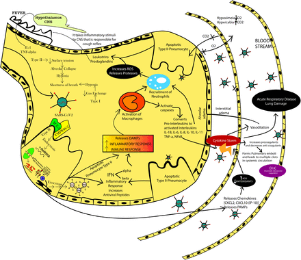 FIG 1: