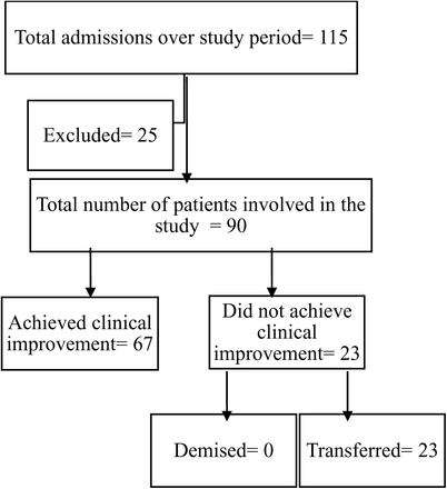 Figure 1: