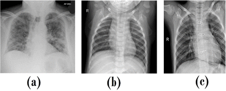 Figure 2: