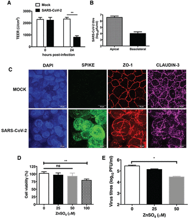 Figure 6: