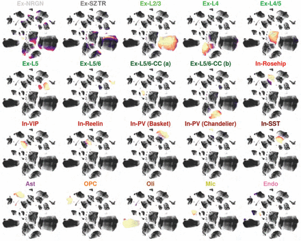 Extended Data Figure 1a.