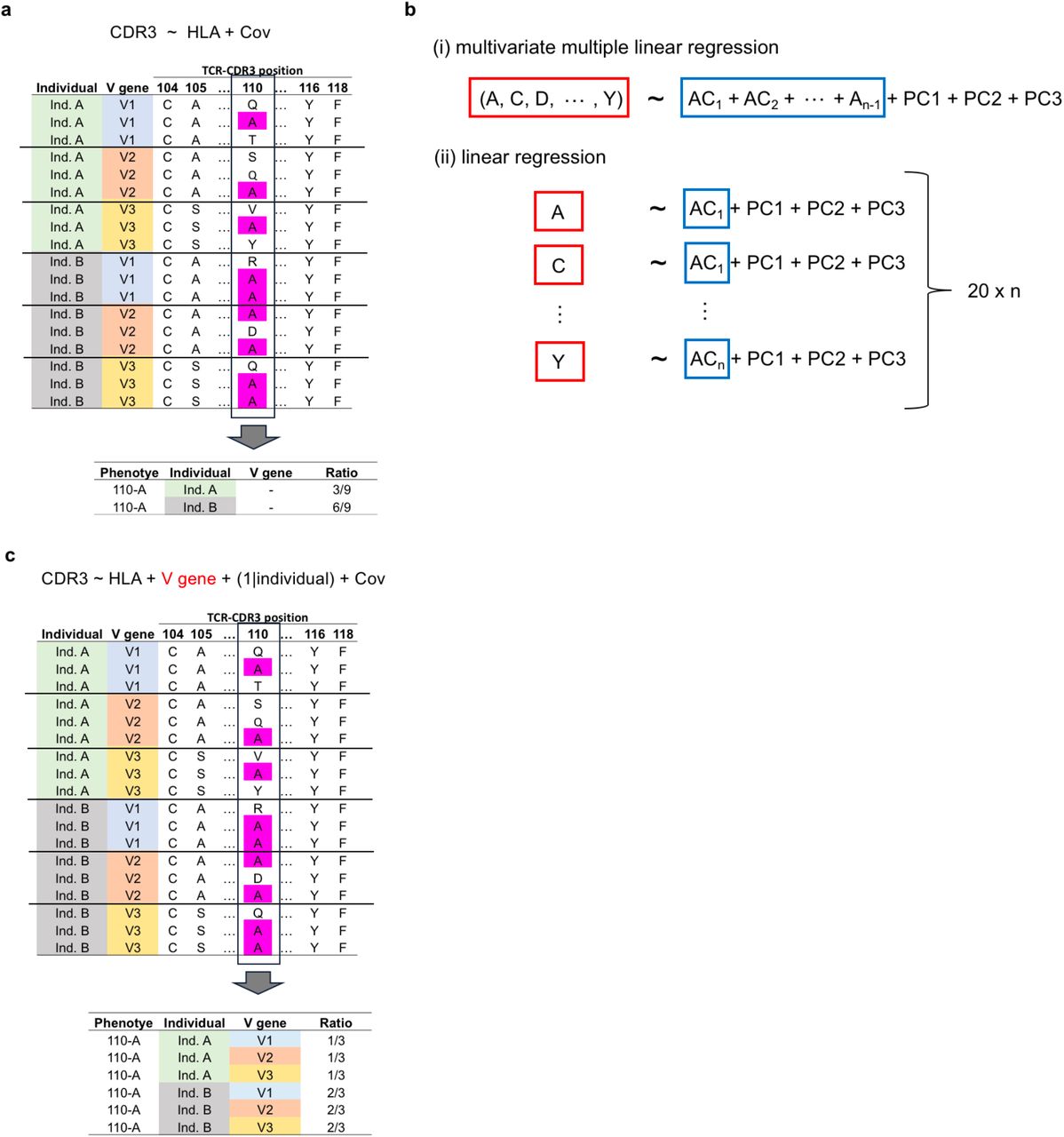 Hla Autoimmune Risk Alleles Restrict The Hypervariable Region Of T Cell Receptors Medrxiv