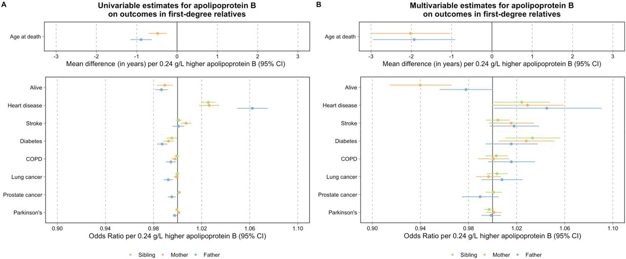 Effects Of Apolipoprotein B On The Lifespan And Risks Of Major Disease ...