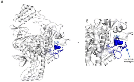 Fig 10.