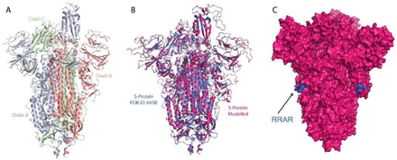 Fig 5.