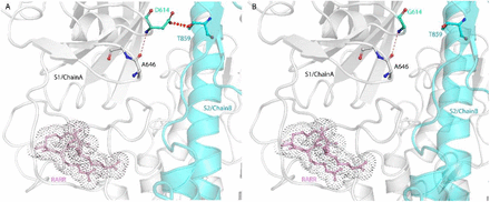 Fig 6.