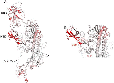 Fig 7.