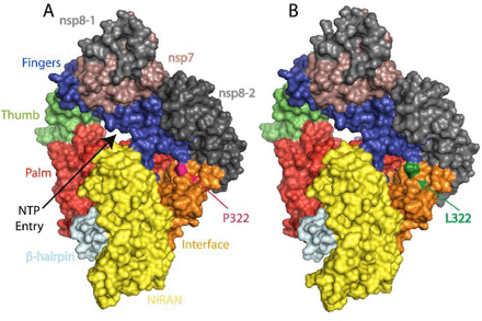 Fig 8.