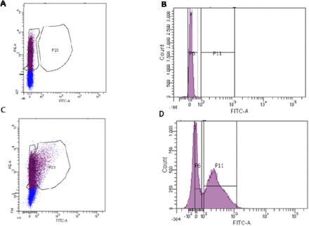 Supplementary Figure 1.