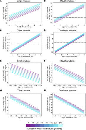 træfning nyse bælte Risk of evolutionary escape from neutralizing antibodies targeting  SARS-CoV-2 spike protein | medRxiv