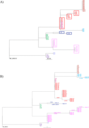 Figure 2: