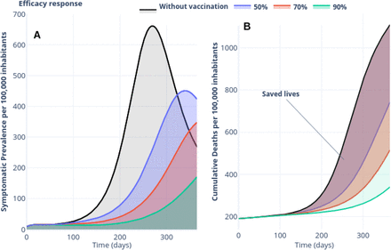 Covid 19 Optimal Vaccination Policies A Modeling Study On Efficacy Natural And Vaccine Induced Immunity Responses Medrxiv