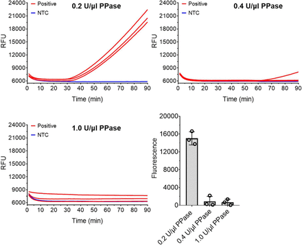 Supplementary Fig. 1.