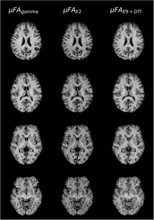 Fig. 5.