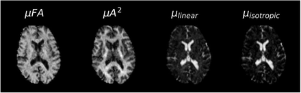 Fig. 8.