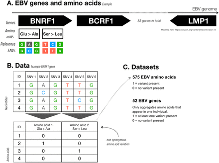 Figure 1: