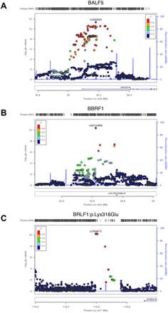 Figure 3: