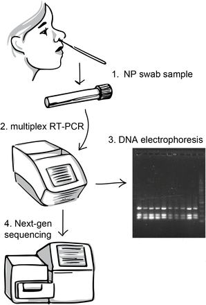 Figure 1: