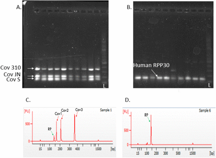 Figure 2: