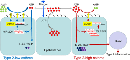 Figure 10.