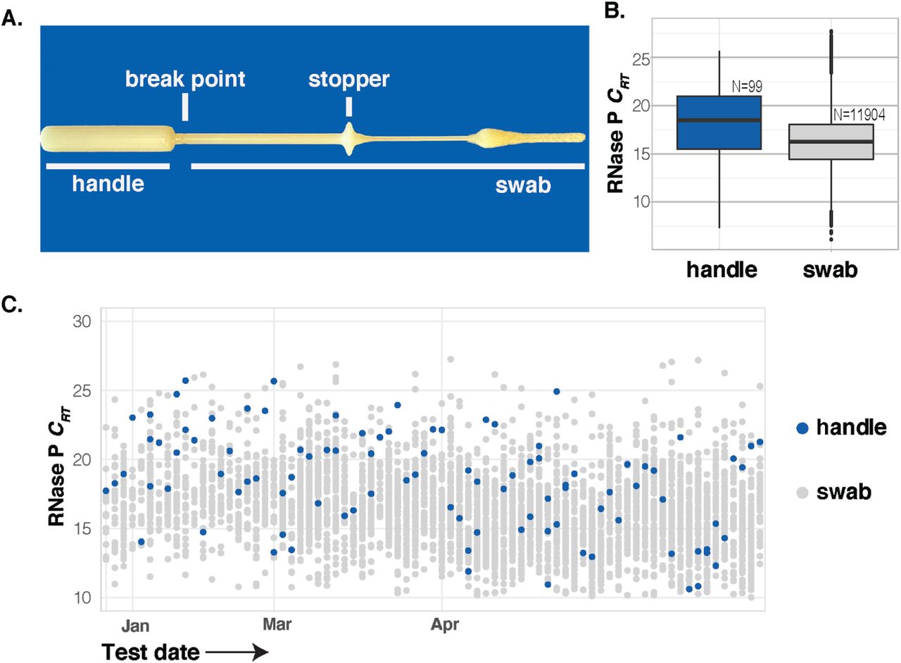 TaqMan™ Universal RNA Spike In/Reverse Transcription (Xeno) Control