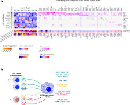 Extended Data Figure 13.