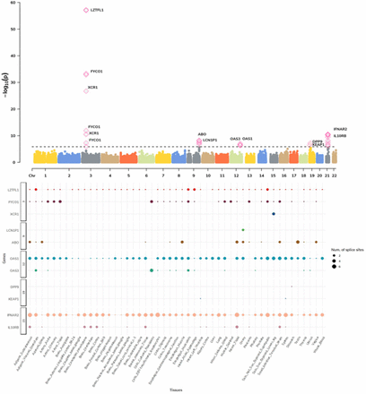 Figure 3: