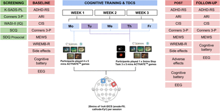 Figure 2: