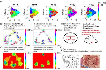 Figure 2: