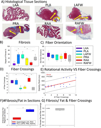 Figure 6: