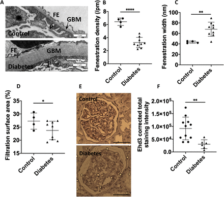 Figure 6: