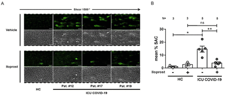 Fig. 10.