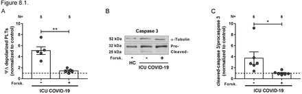 Fig. 8.