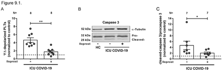 Fig. 9.