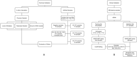 FIGURE 1.