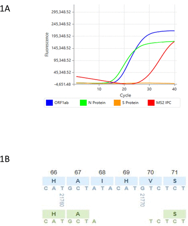 Figure 1A.