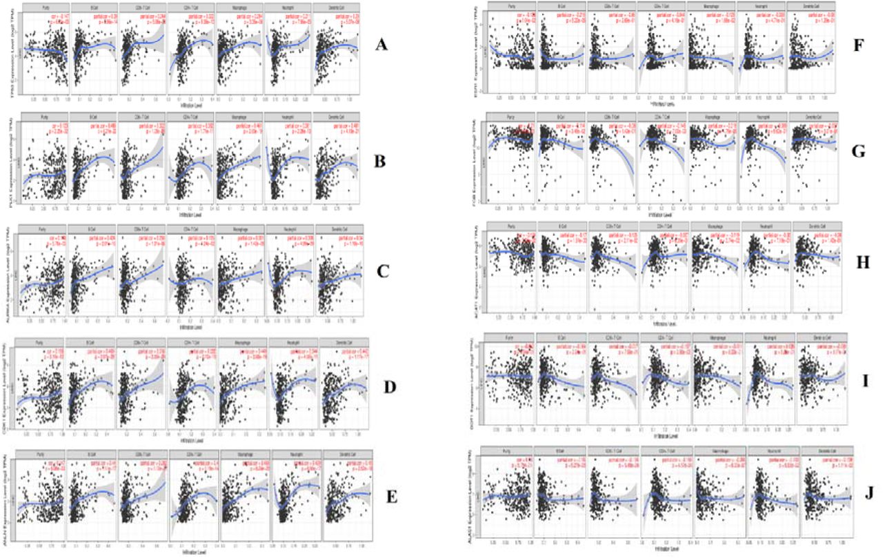 Identification Of Potential Core Genes In Hepatoblastoma Via Bioinformatics Analysis Medrxiv