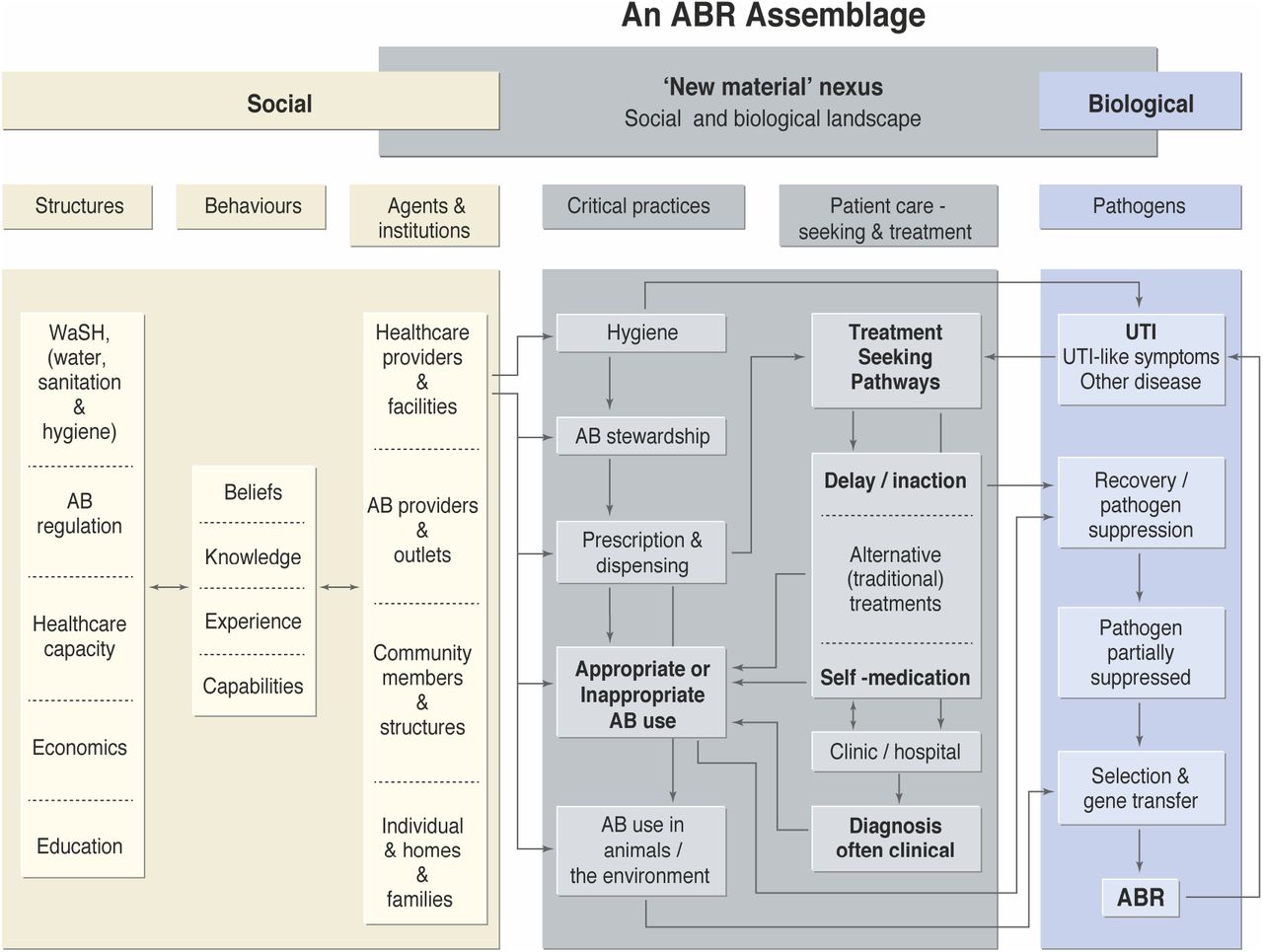 Regulation  Animal Research Nexus