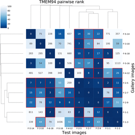 Figure 4: