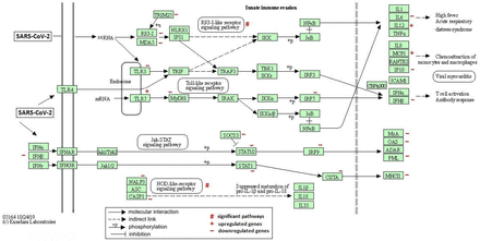 Figure 3: