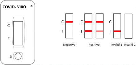 Figure 1: